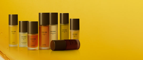 THE OIL COLLECTION INVIGORATION THROUGH THE POWER OF ESSENTIAL