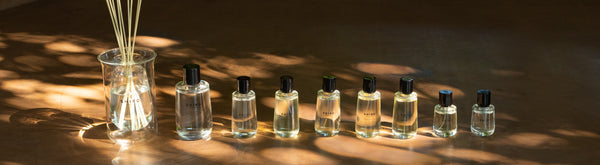 12 perfumes. 12 stories. – SHIRO US Online Store