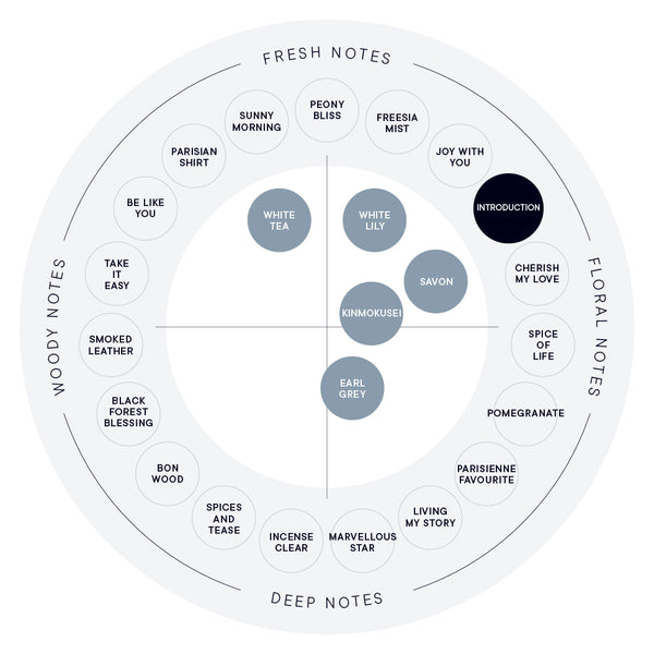 INTRODUCTION EAU DE PARFUM – SHIRO US Online Store