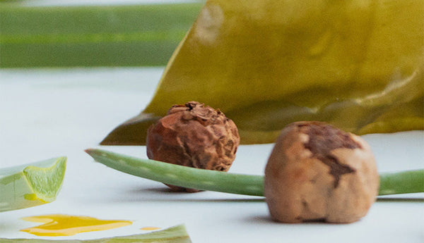 “Hidaka Kombu Aloe Tamanu All in Serum’’ available from October 23.  Skin and heart, replenished with moisture.
