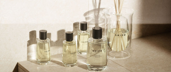 SHIRO PERFUME COLLECTION: Your gateway to luxurious relaxation. Now available.
