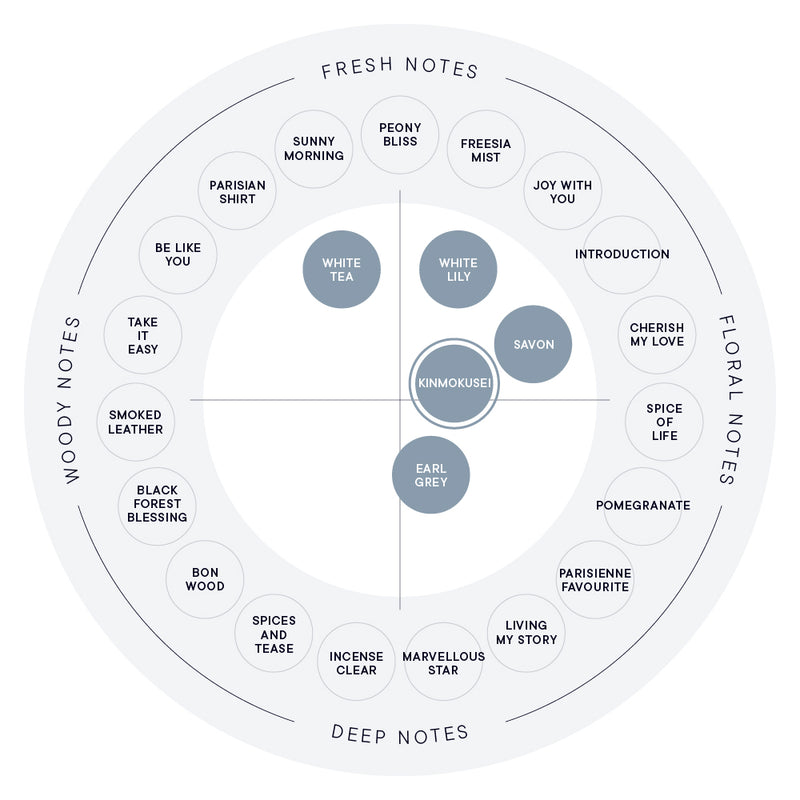 KINMOKUSEI CLAY HAND SOAP – SHIRO US Online Store