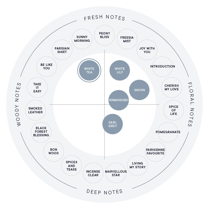 WHITE TEA EAU DE PARFUM – SHIRO US Online Store