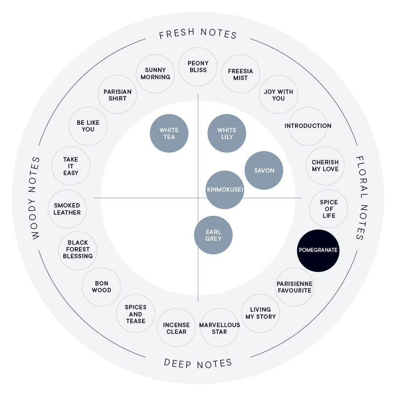 POMEGRANATE EAU DE PARFUM – SHIRO US Online Store